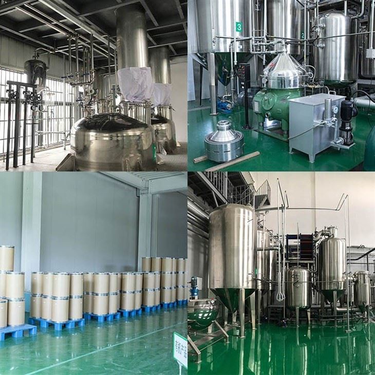 Eurycoma Longifolia factory