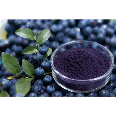 Estratto di mirtillo europeo