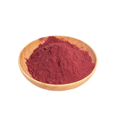 Polvere di uva spina Amla biologica